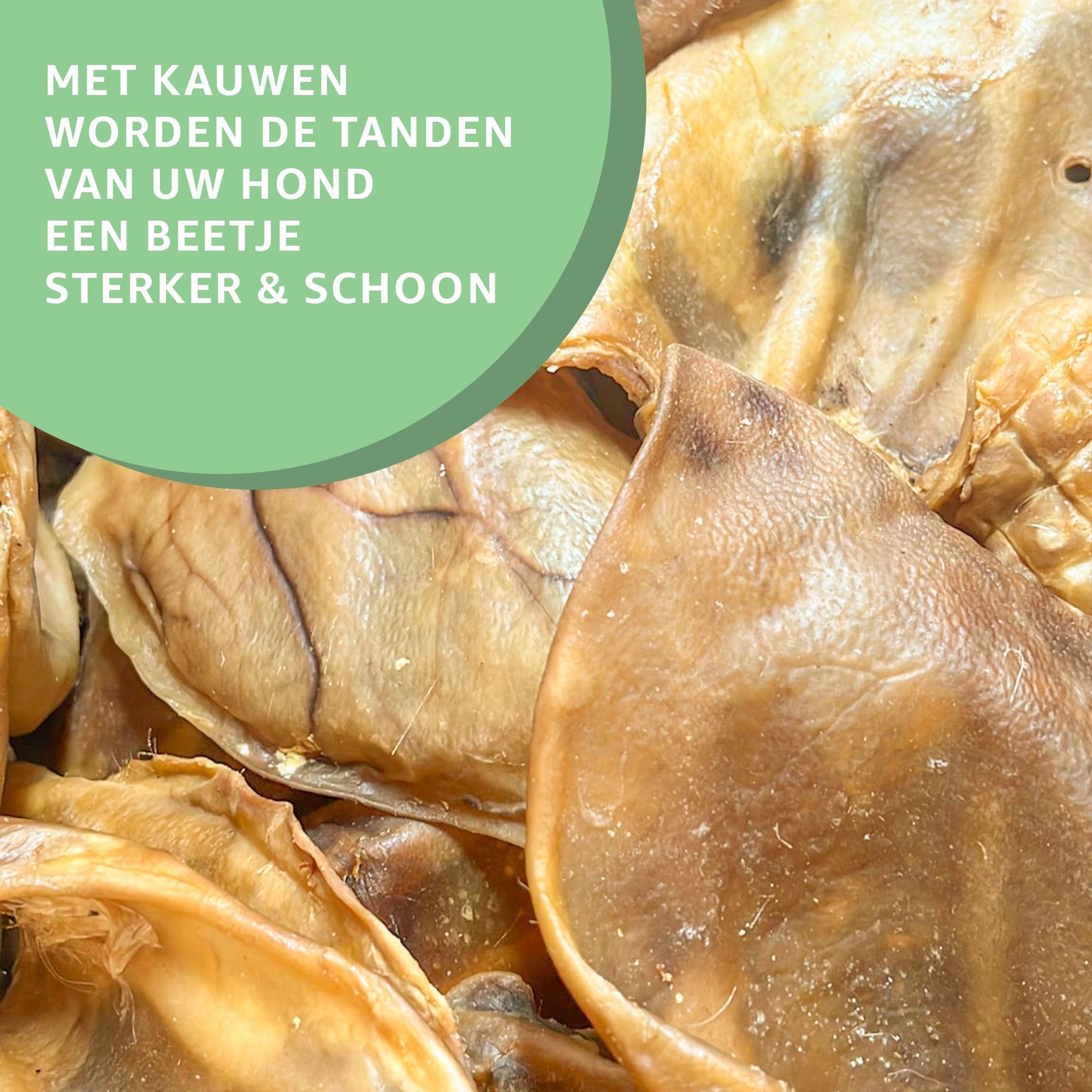 Mega varkensoren XXL-3