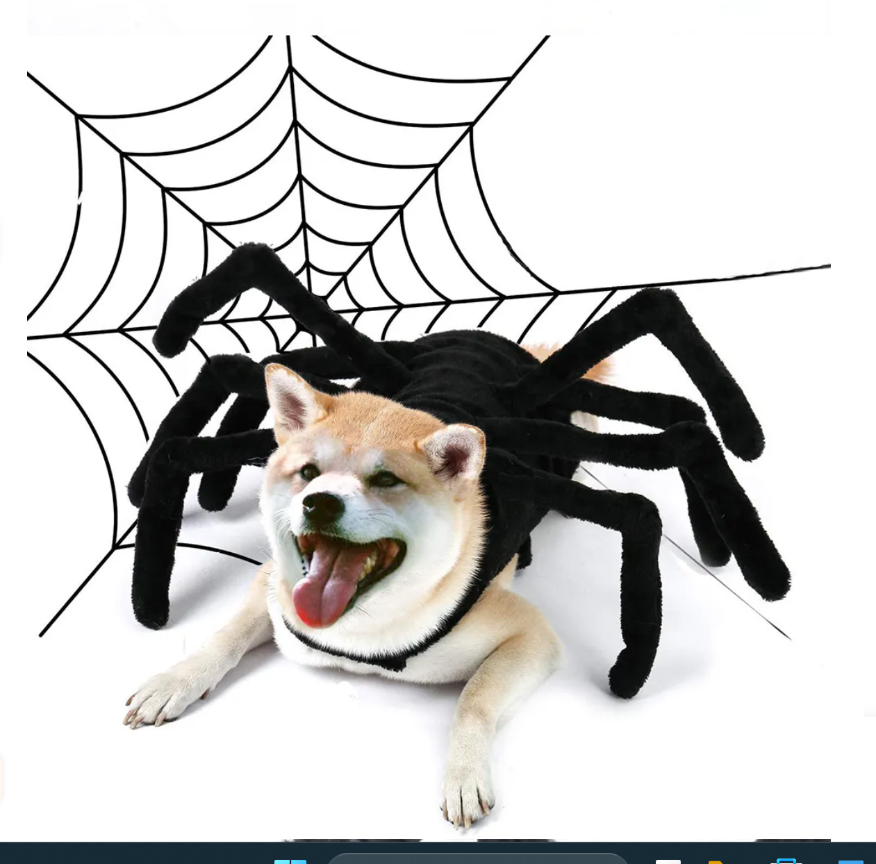 Halloweenkostym för hund