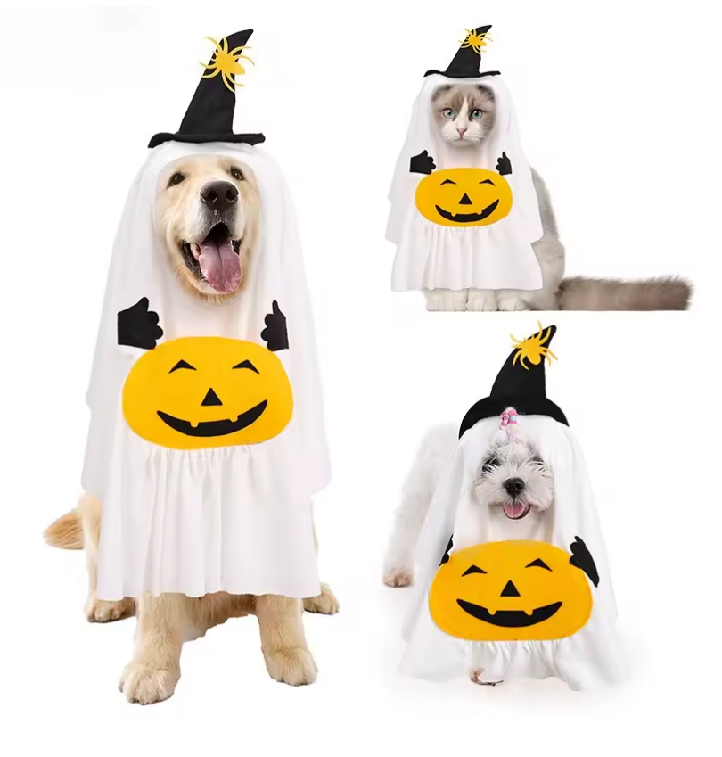 Halloweenkostym för hund