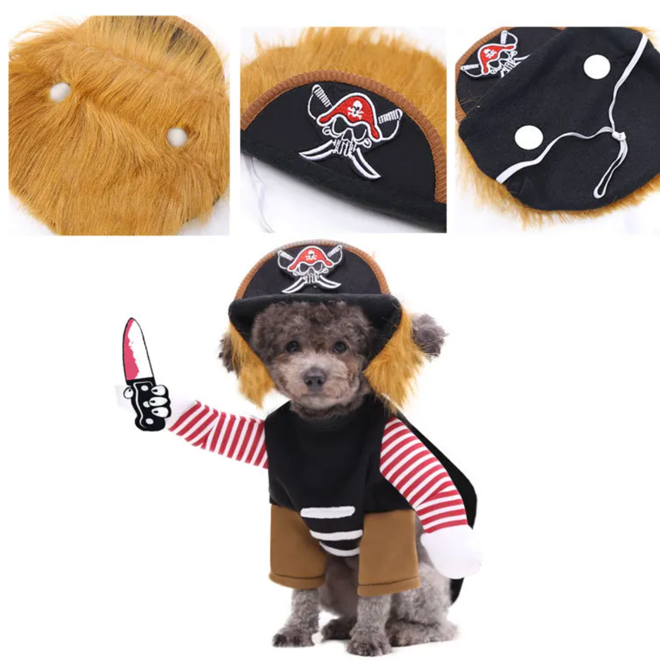 Halloweenkostym för hund