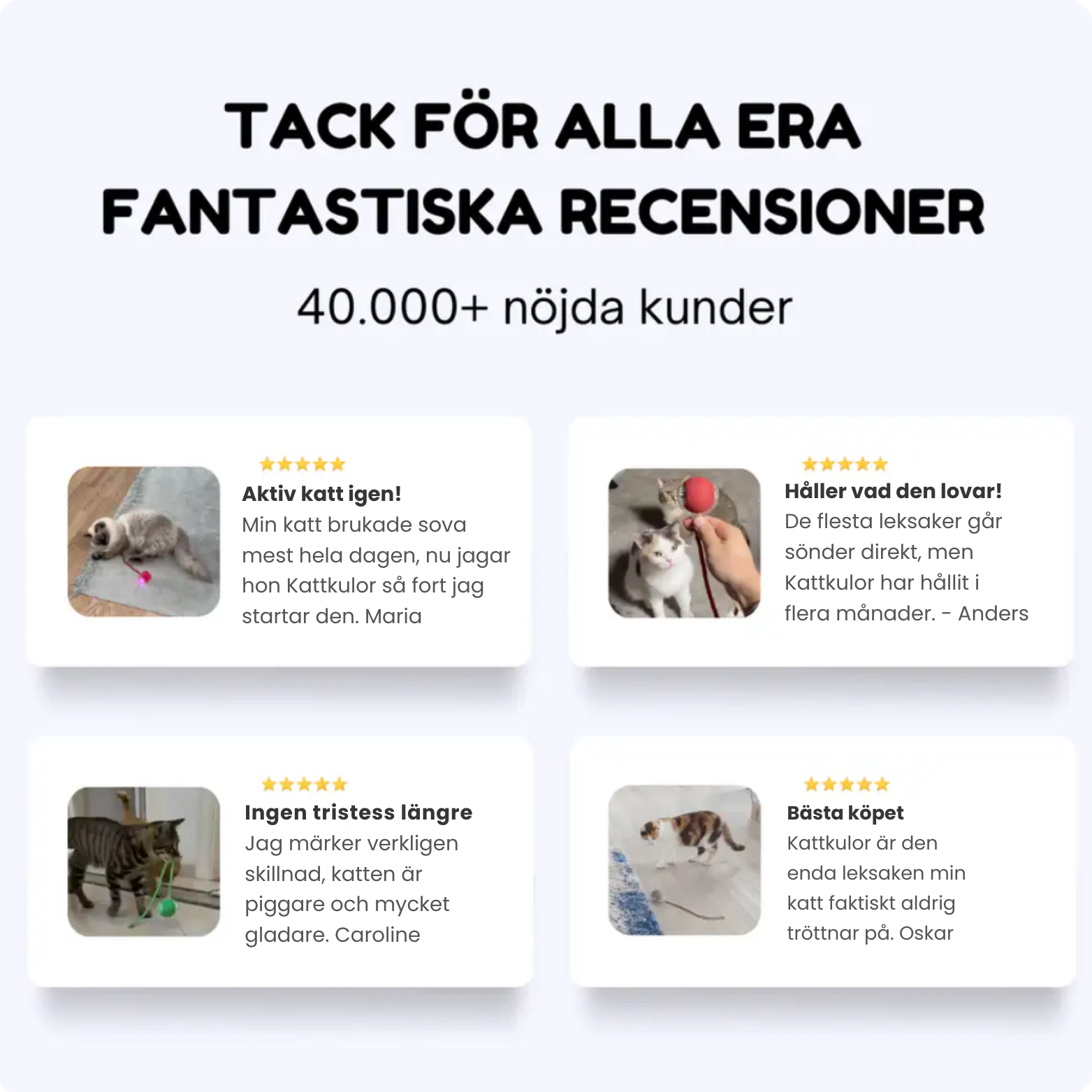 Kattkulor - Smart, självgående och blev årets kattleksak 2024