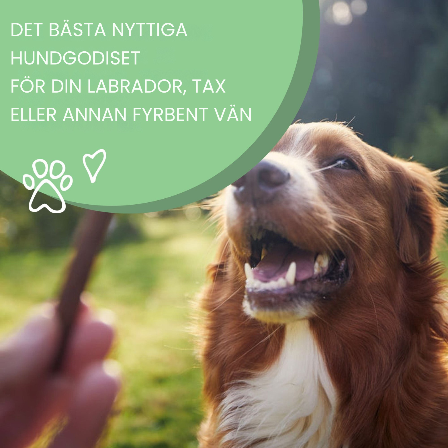 Torkade Kycklinghalsar 750g