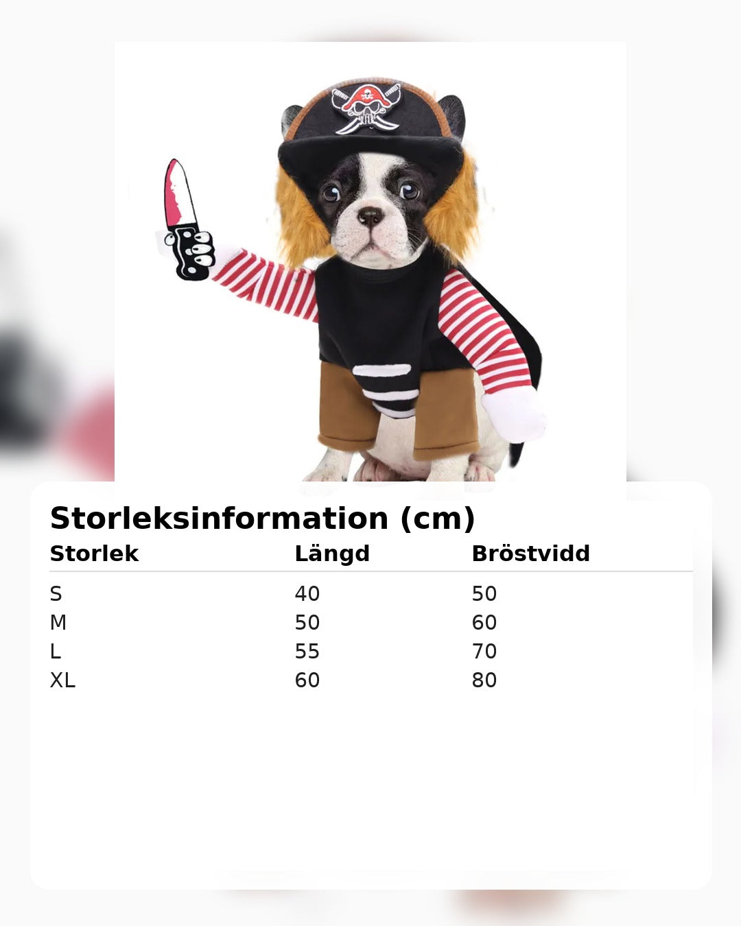 Halloweenkostym för hund