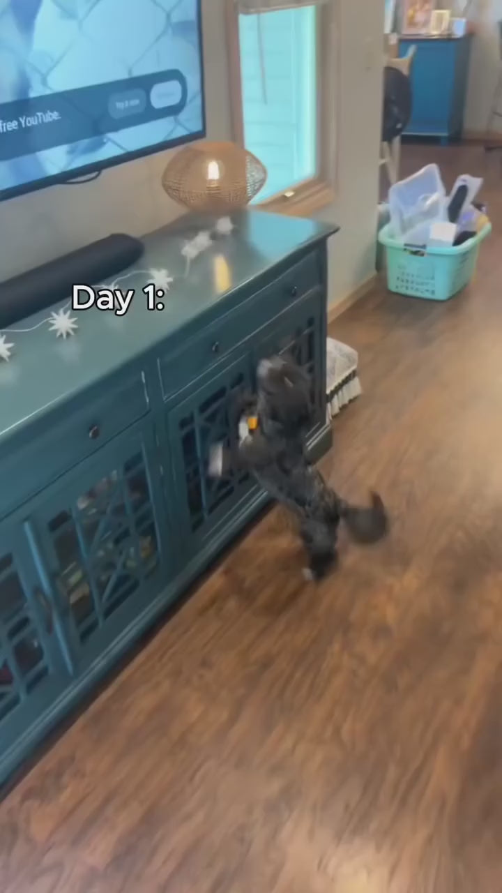 Ljudkontroll® – Skonsam antiskall-enhet för hundar