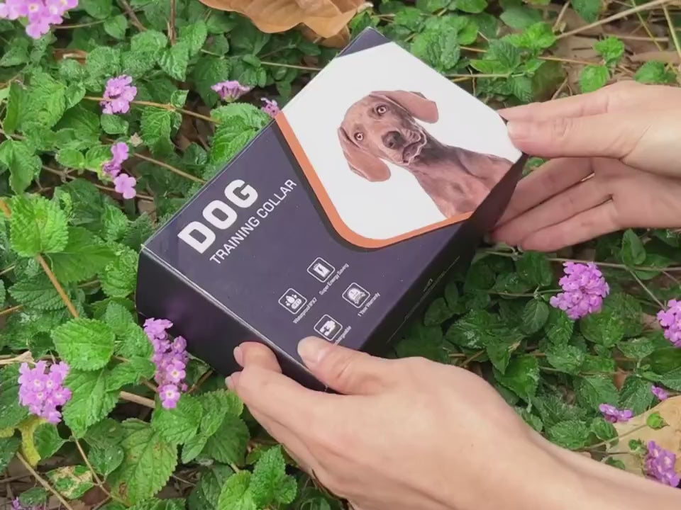 TystaHund - Antiskäll halsband