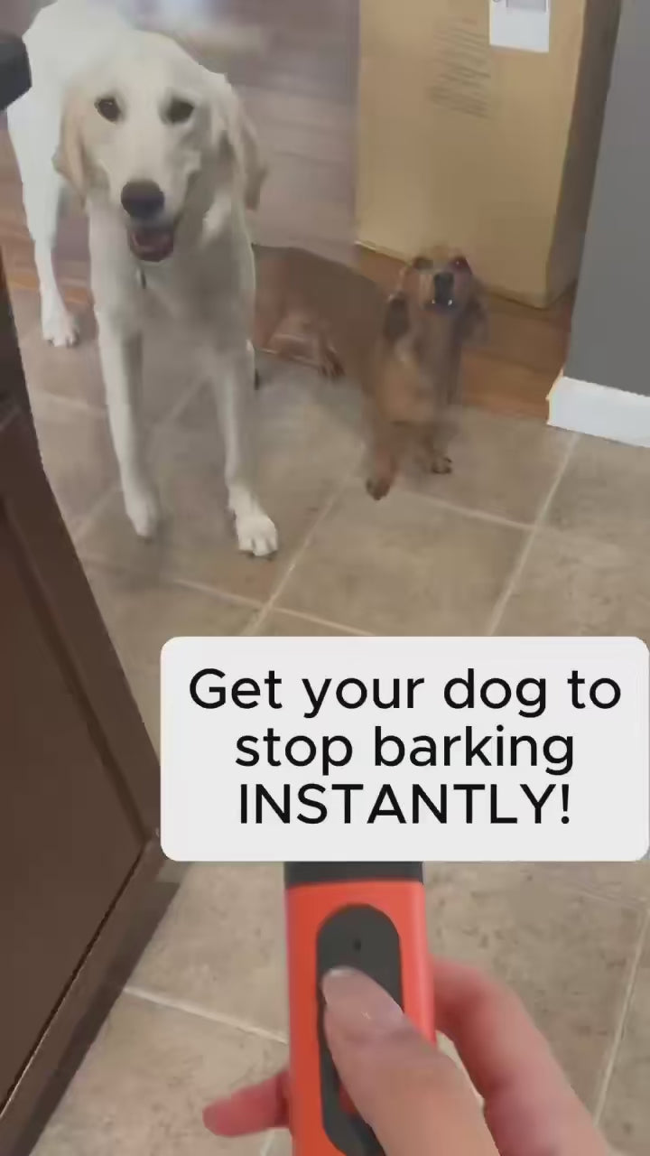 Ljudkontroll® – Skonsam antiskall-enhet för hundar